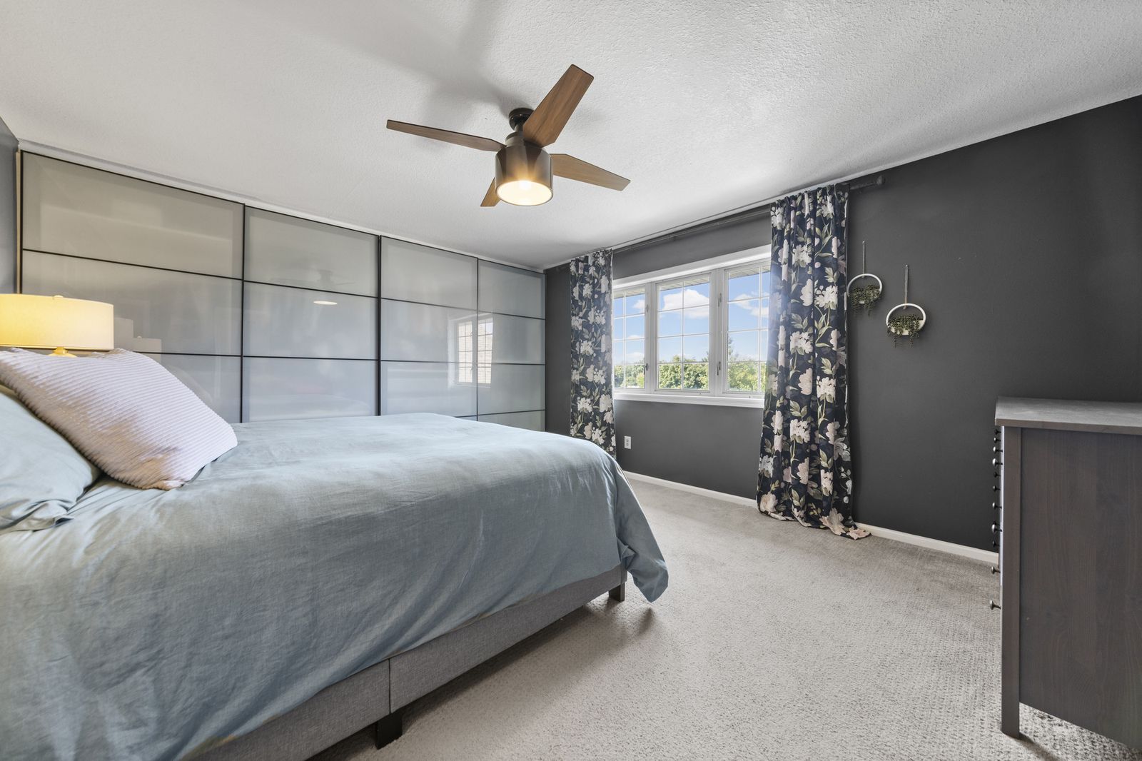 Bedroom with dark accent wall and blue bedding