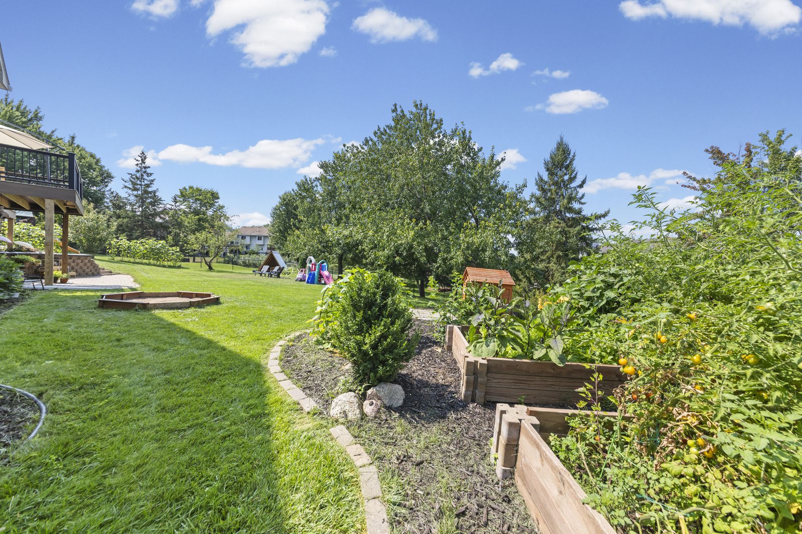 Backyard lawn with pathway and landscaping
