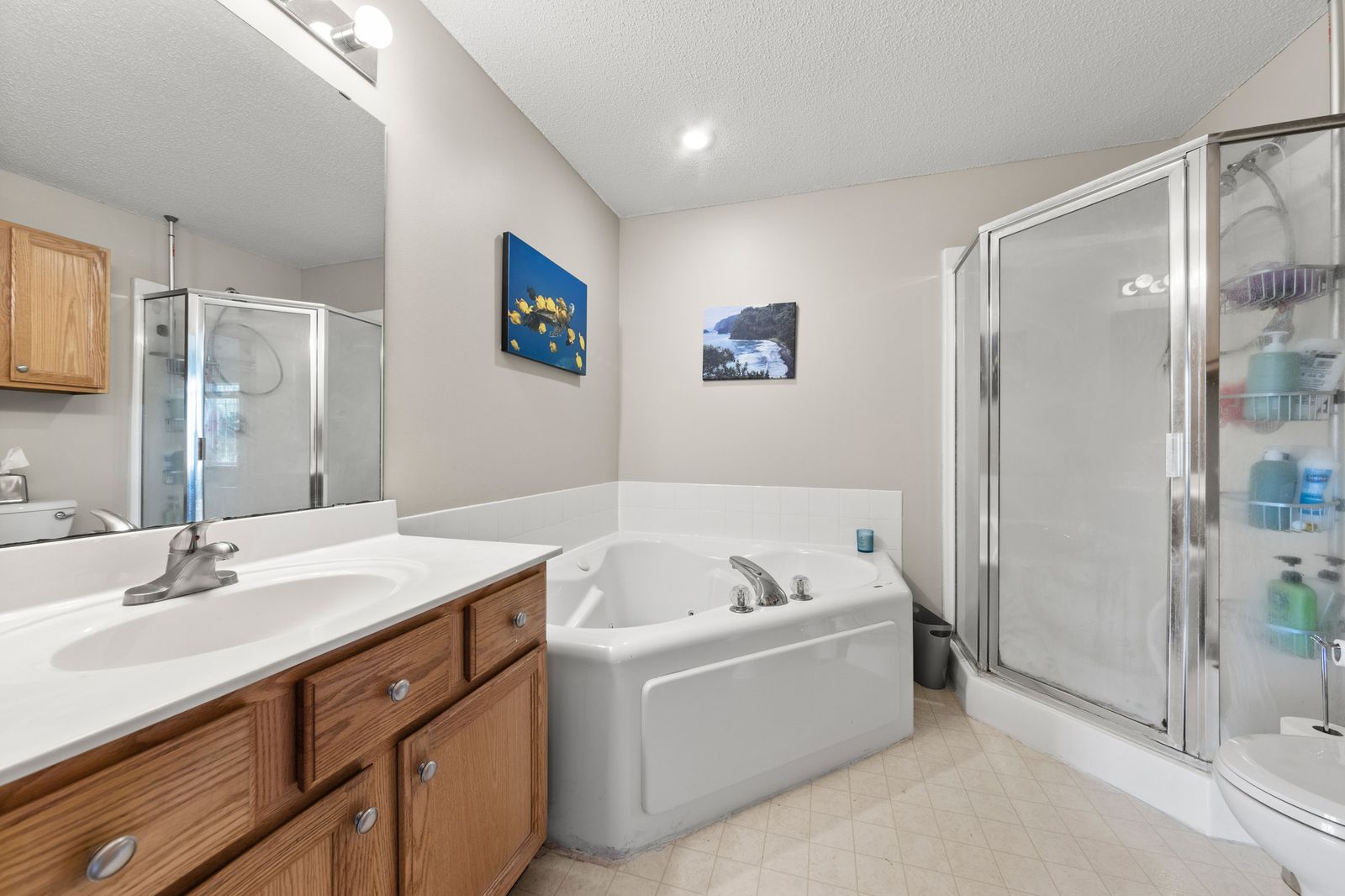 Photo of 446 Mission Hills Way East, Chanhassen, MN 55317